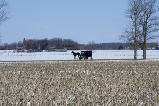 Amish farmland