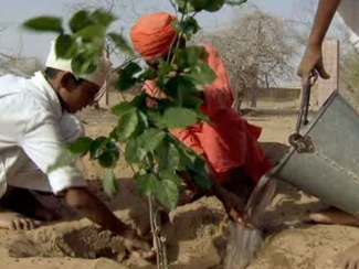 Still from The Bishnois: India's Eco Warriors, Dir. Franck Vogel and Benoit Segur, 2011, 52 min