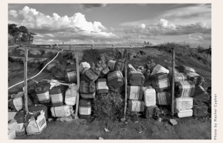 Ecological Siege