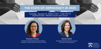 state of democracy flier