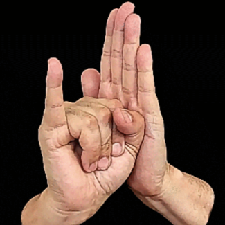 Hands Sign Language