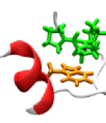  Capturing Protein Folding in Real Time 