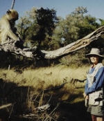  Biologist Dorothy Cheney Elected to National Academy of Sciences 